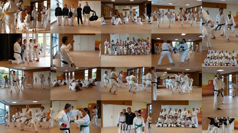 Collage van karatetrainingen, examens en groepsfoto's van jeugd en volwassenen bij Dojo Oosting in Leeuwarden